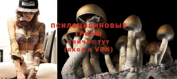 Альфа ПВП Куйбышев