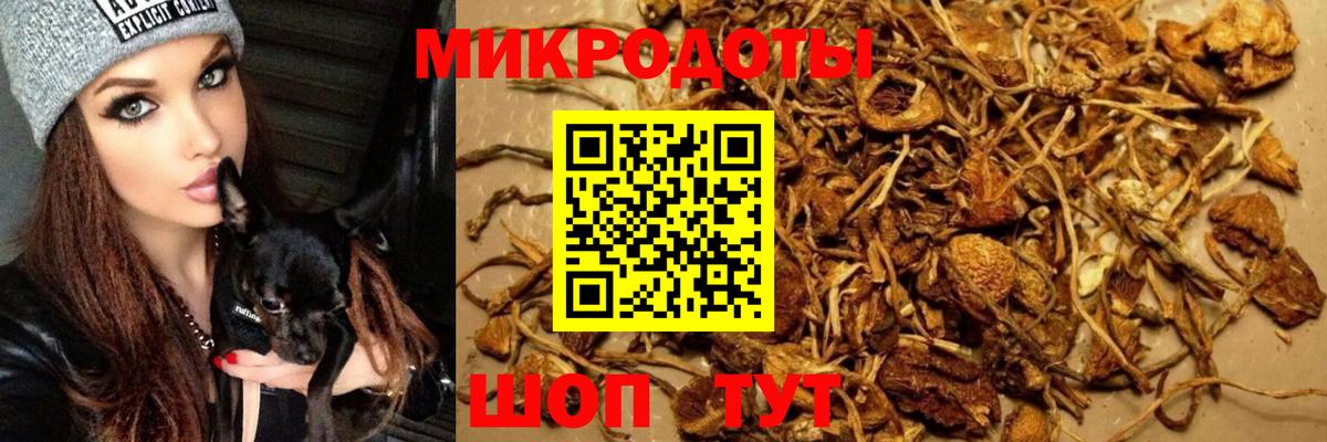 Дзержинский  продажа наркотиков  Вход с VPN  Псилоцибиновые грибы мухоморы 