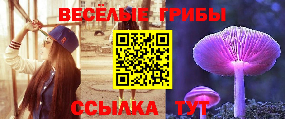 Галлюциногенные грибы MAGIC MUSHROOMS Дзержинский